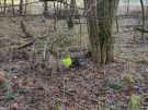 IMG-20231216-WA0003
